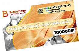 Подарочный сертификат РоботВсем на 100000₽ 
